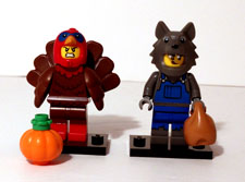 Image of Turkey and Wolf 1