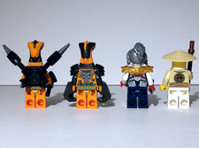 Image of Other Figs Back
