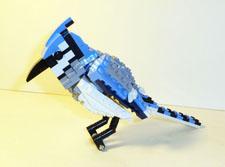 Image of Blue Jay Build 4