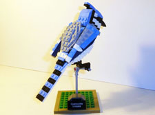 Image of Blue Jay View 2