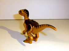 Image of Velociraptor Back